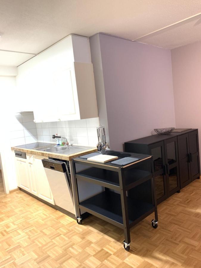 Xl City Center Apartment-Contactless Check-In Bazel Buitenkant foto